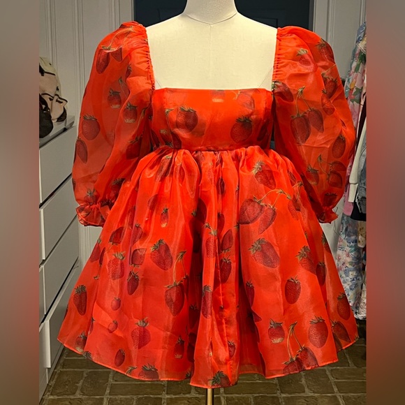 Selkie Dresses & Skirts - Selkie Strawberry Dress NWT